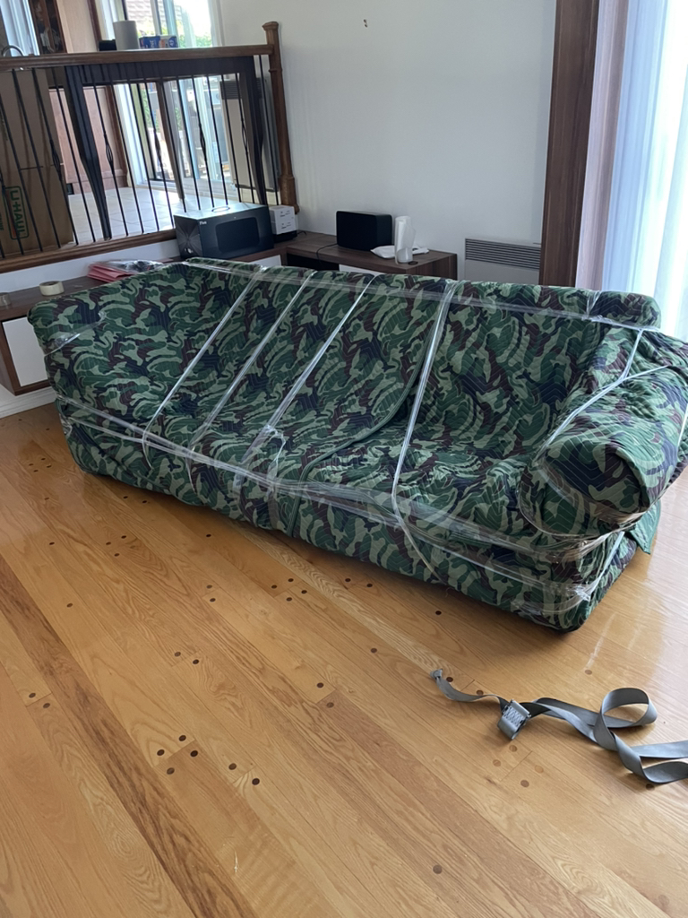 Déménageurs de divan